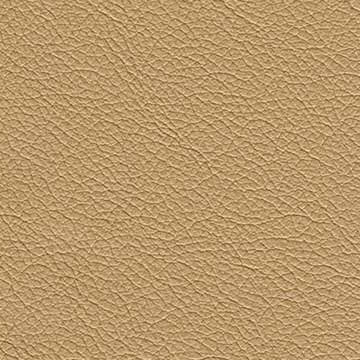 Sierra-1699 warm beige